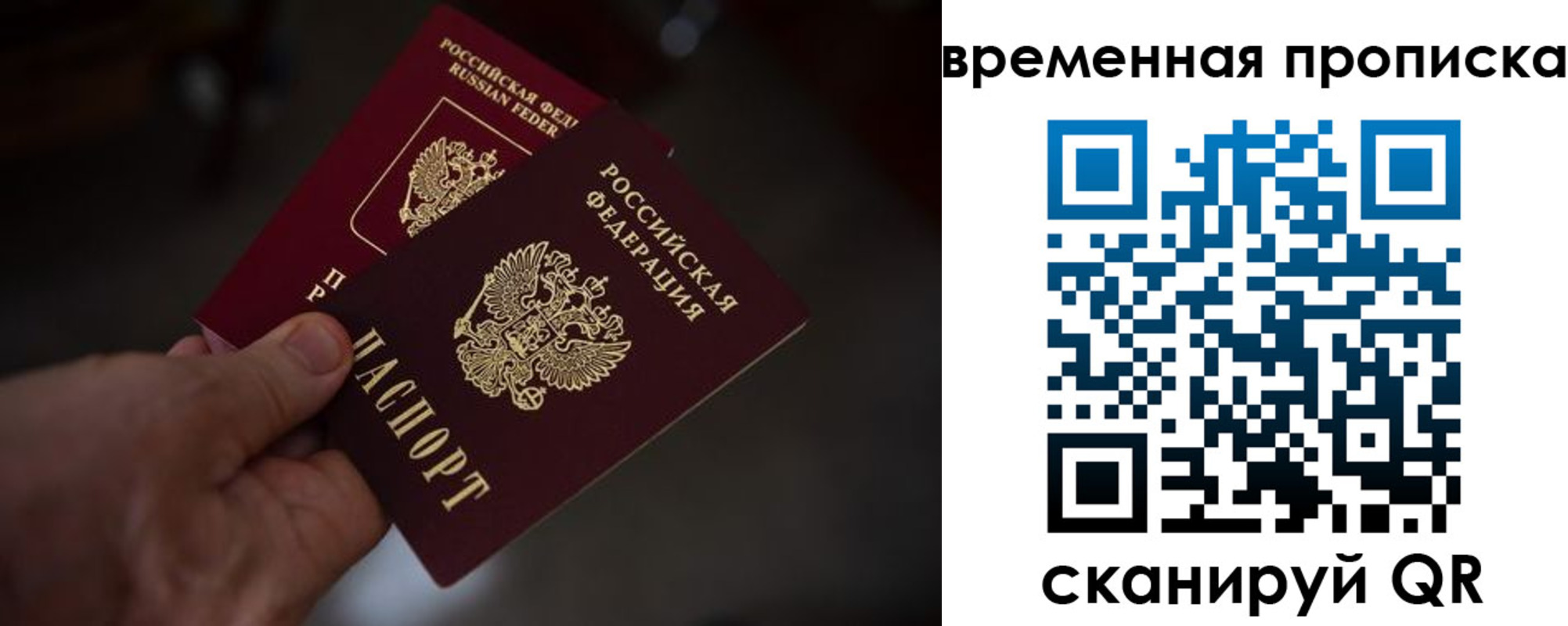 прописка в Жукове